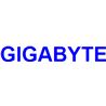 Gigabyte