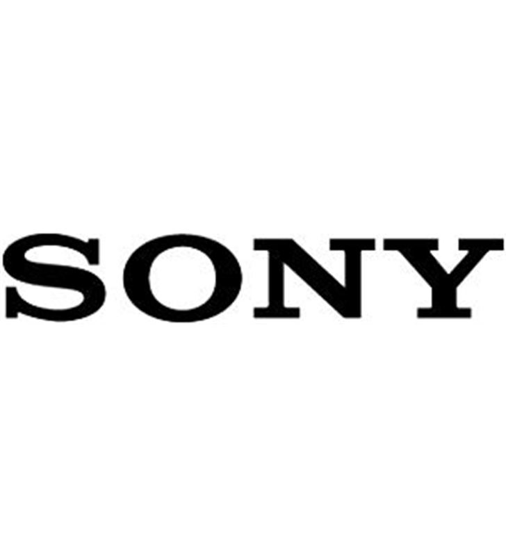 Sony - informatica/jocs