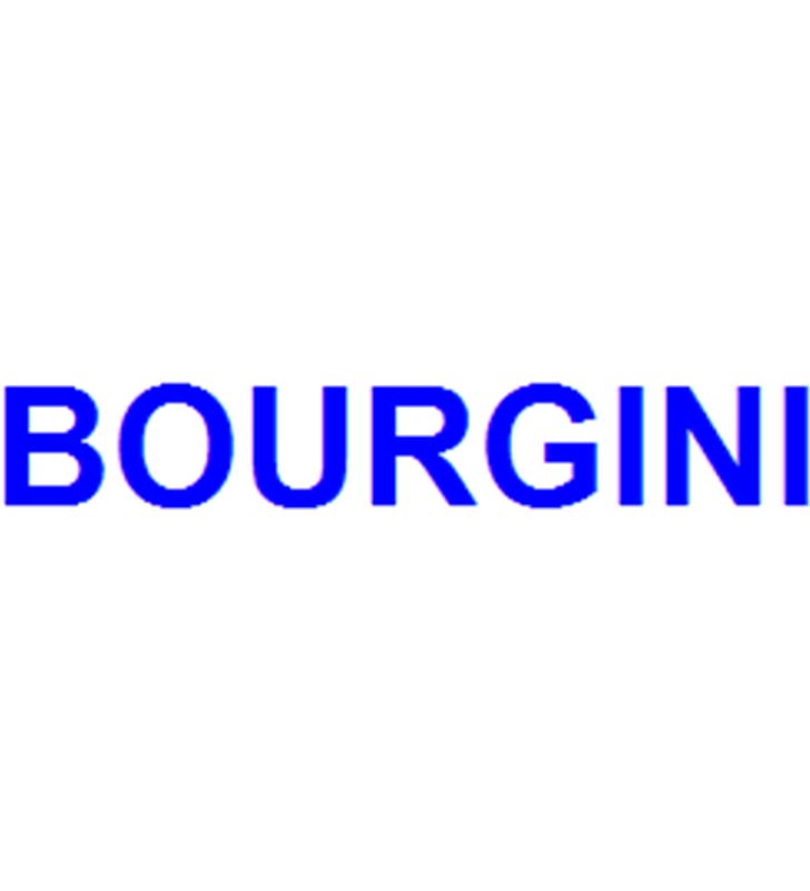 Bourgini